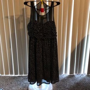 Torrid Dress